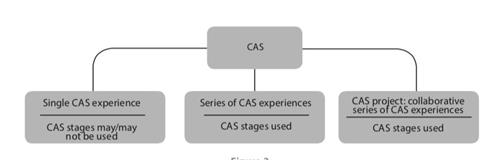 CAS 3 Types 